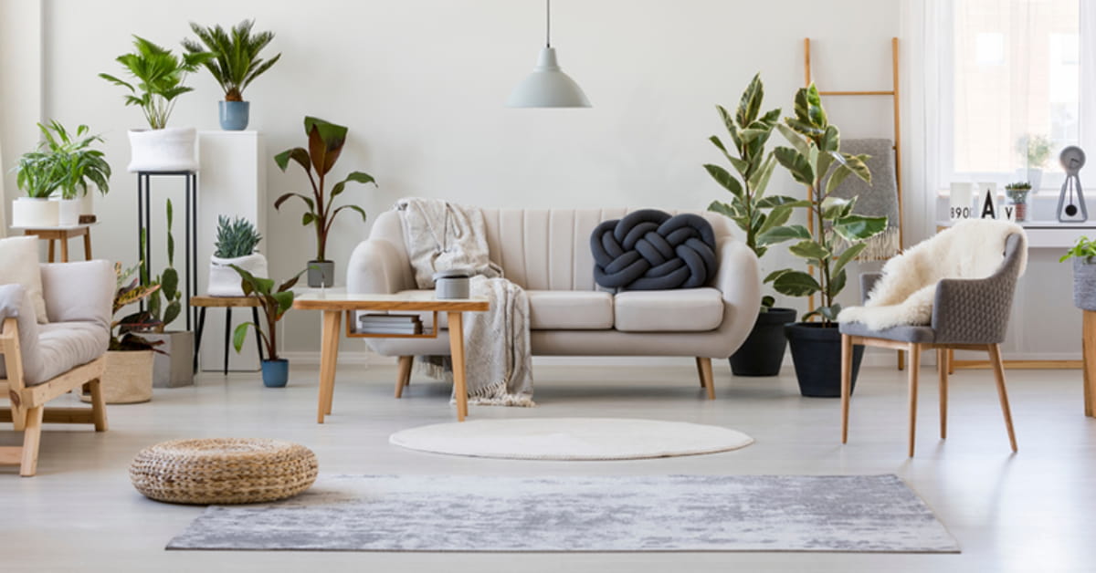 Small living room with concrete floor, dark beige sofa, indoor plants, layered cushions, cozy modern décor