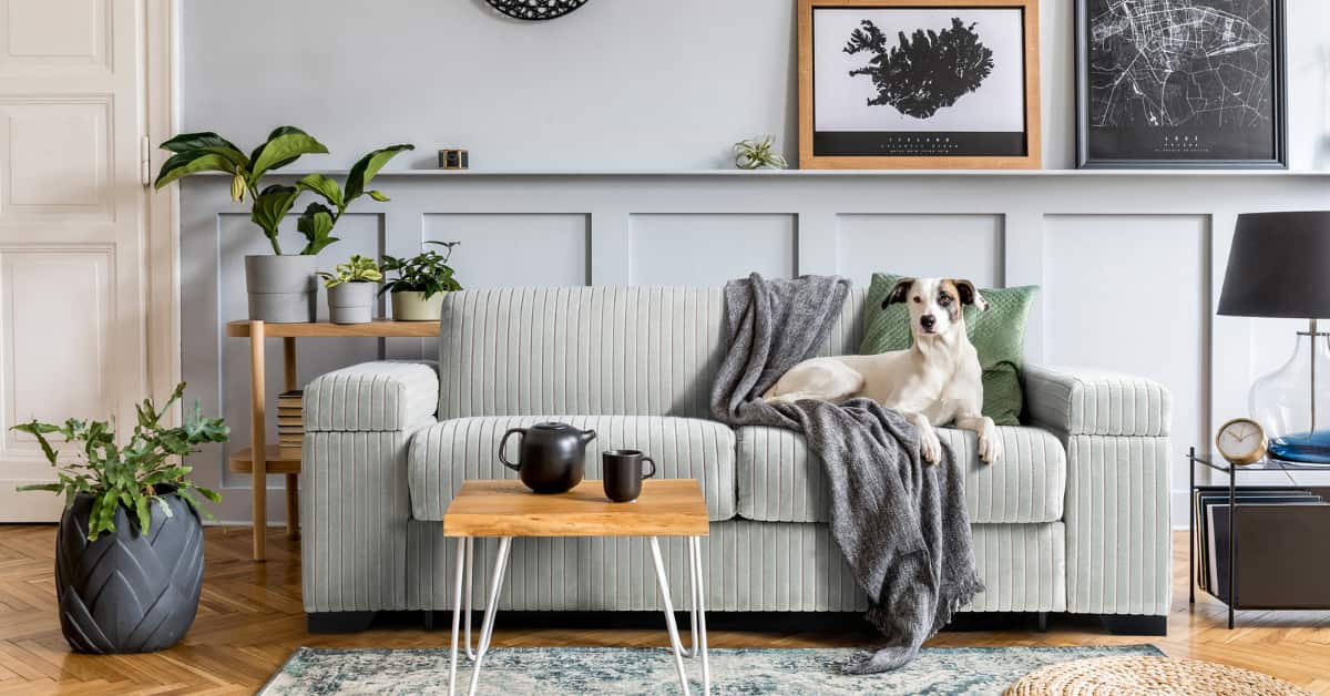 “Small living room with textured concrete floor, patterned rug, neutral sofa, wooden accents, cozy modern décor