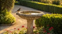Bird Bath Garden