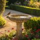 Bird Bath Garden