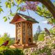 Bird Feeder
