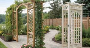 Trellis Ideas for Privacy