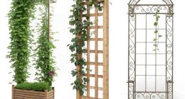 Trellis Ideas