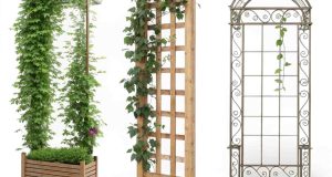 Trellis Ideas