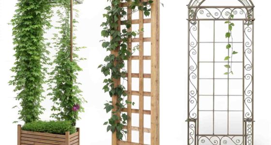 Trellis Ideas