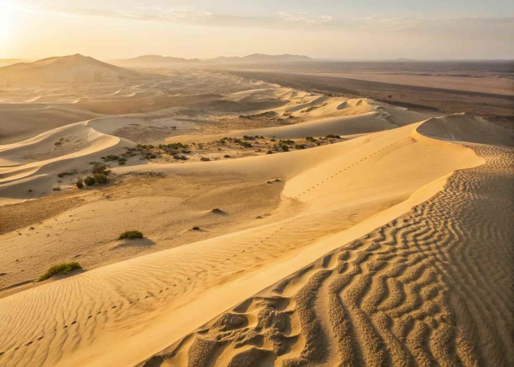 Aerial view of golden sand dunes in warm afternoon light, textured sand ripples, soft golden and cream tones, minimal desert landscape, wide angle photography, warm cinematic color grade, serene and editorial nature photography style.