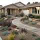 Front Yard Landscaping Ideas