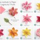 Flower with Paper