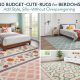 Budget Cute Rugs for Bedrooms