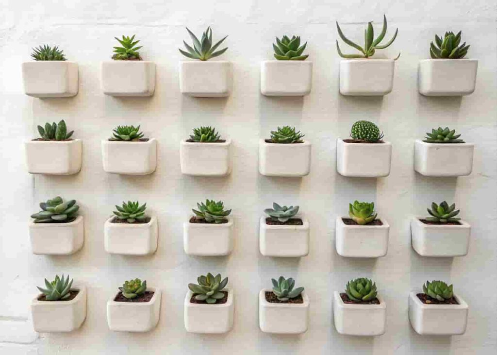 Wall-mounted ceramic pocket succulent planters arranged in a grid on a white wall