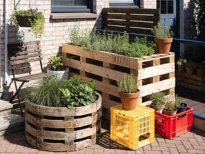 House Garden Ideas