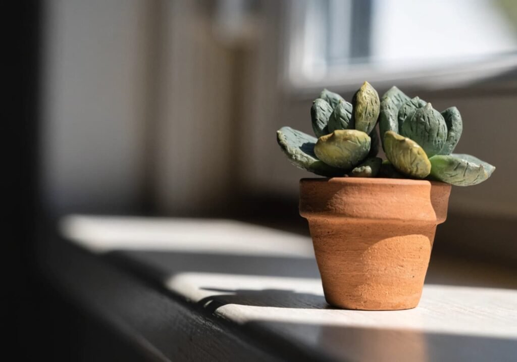 Small handmade clay succulent in a mini pot on a sunny windowsill