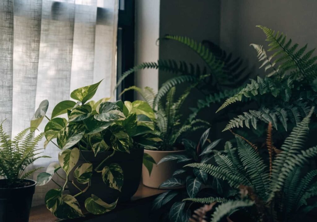 Hanging garden using wall space for small balcony greenery