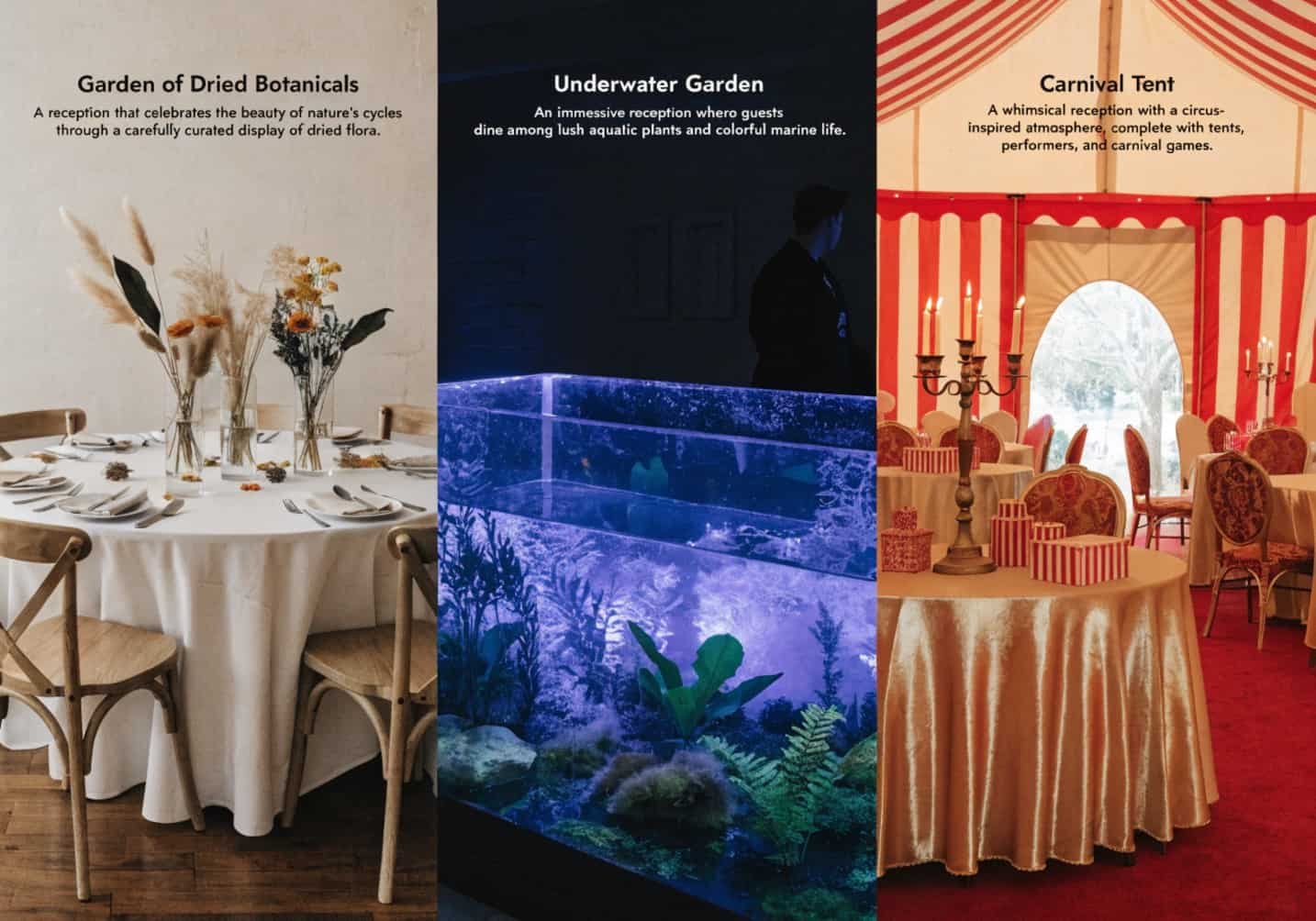 Reception Theme Ideas