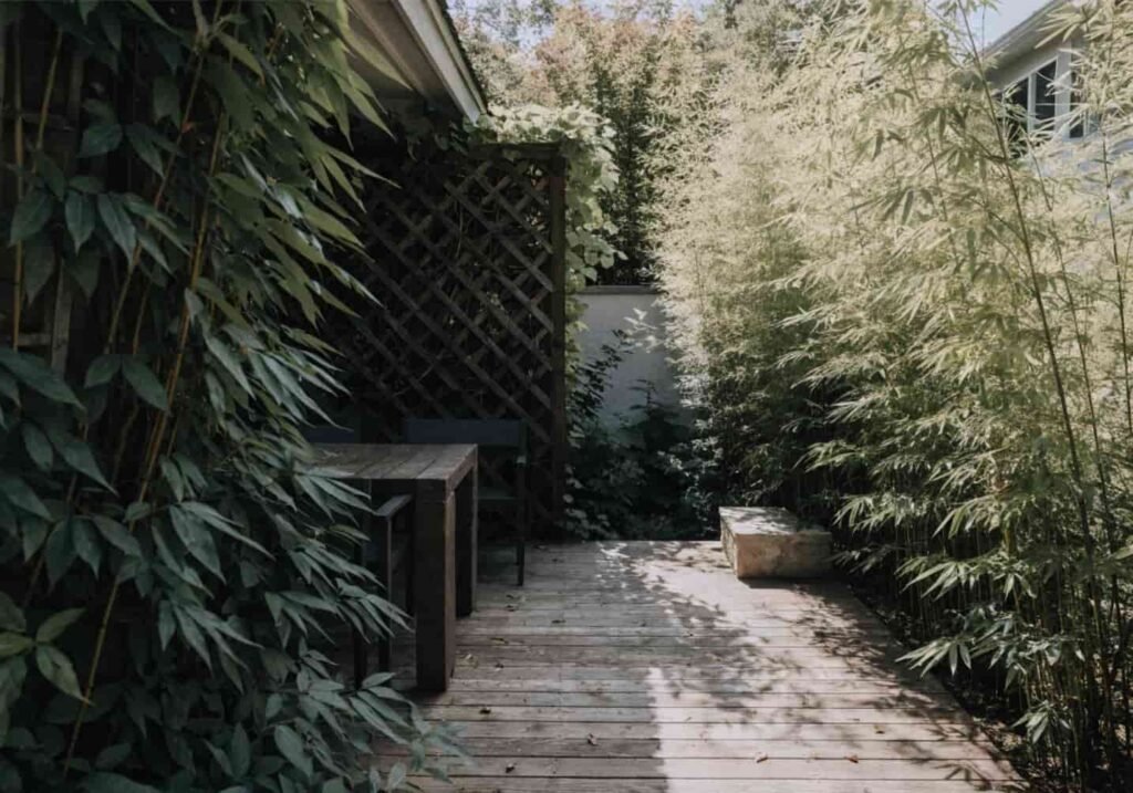 Backyard patio with bamboo plants and vine-covered trellis creating natural privacy