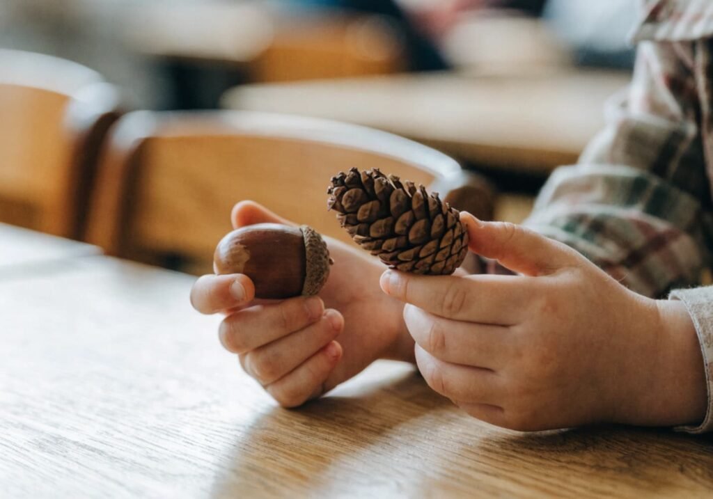 Child's hands holding an acorn and pinecone as part of a fall classroom sensory display