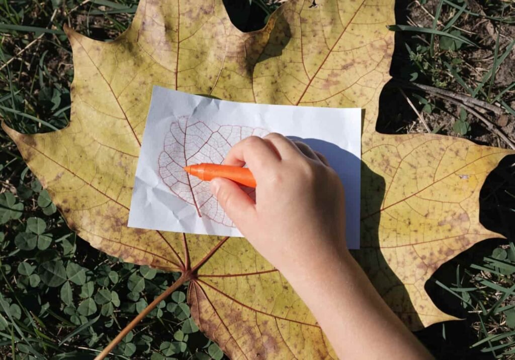 Child doing a leaf rubbing craft with an orange crayon over a maple leaf under paper.