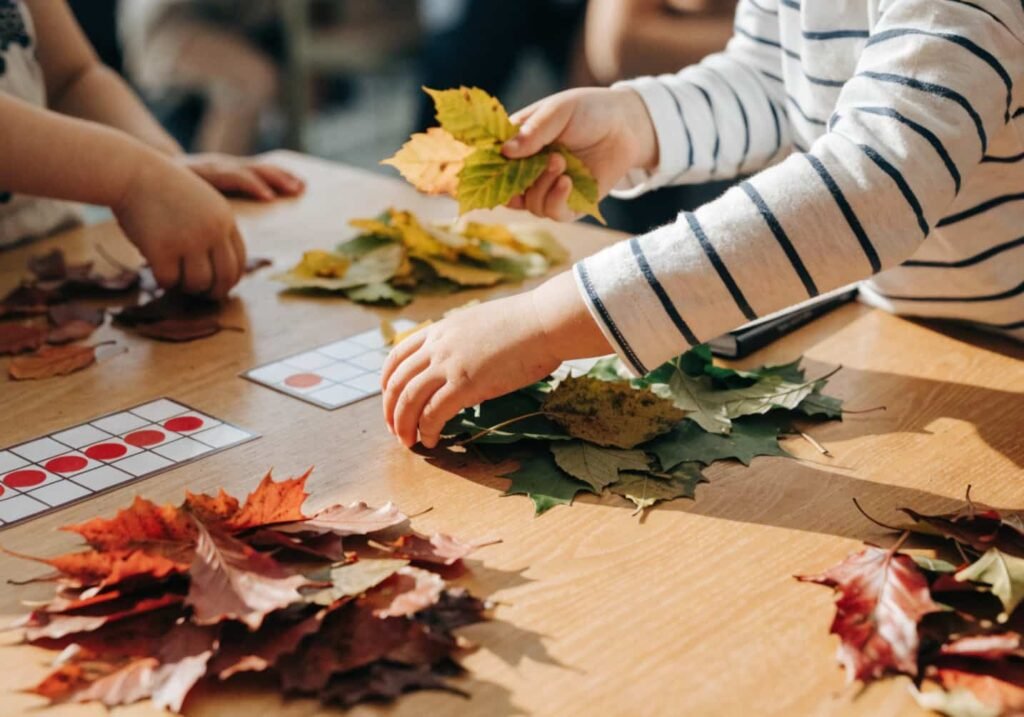 Kindergarten students sorting fall leaves by color on a classroom table.