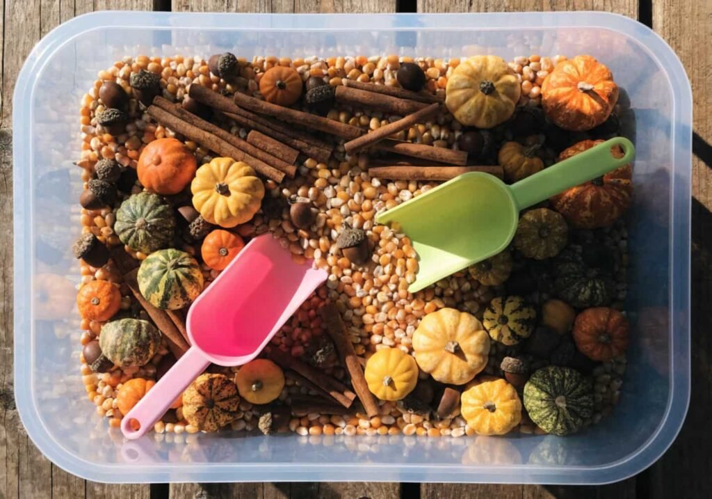 Fall sensory bin with corn kernels, mini pumpkins, acorns, and cinnamon sticks for kindergarten.