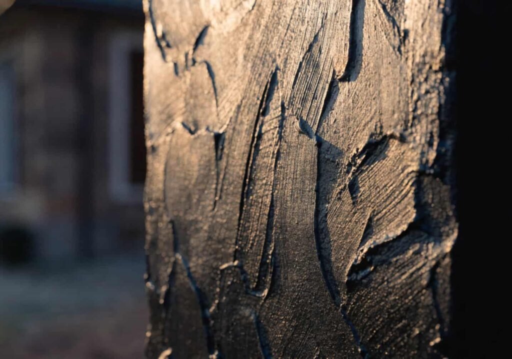 Textured black accent wall catching warm evening light