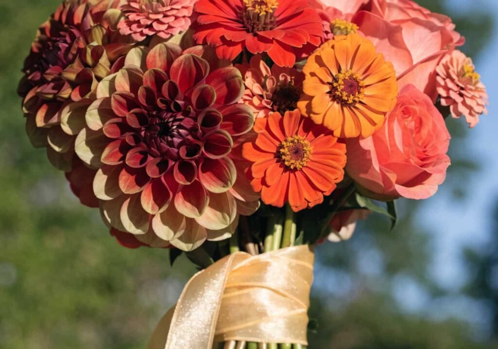 Summer wedding bouquet with in-season warm-toned dahlias and zinnias.
