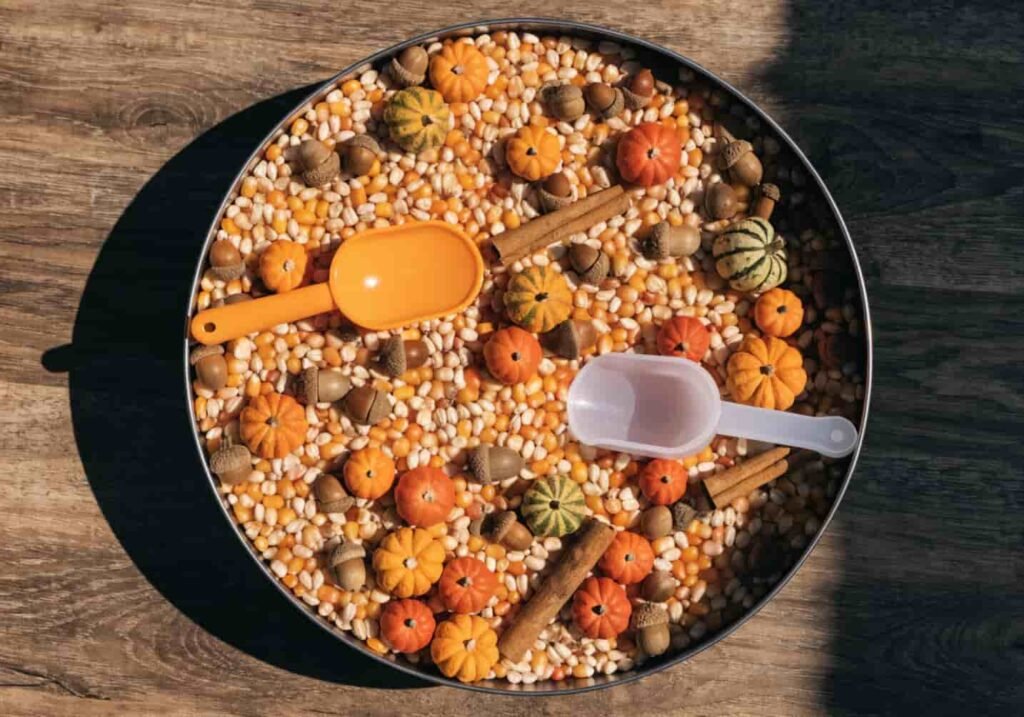 Fall-themed sensory bin with corn kernels, mini pumpkins, and acorns for kindergarten