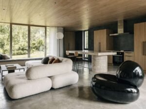 Modern Living Room and Kitchen Design