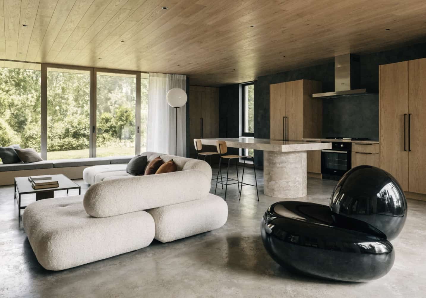 Modern Living Room and Kitchen Design